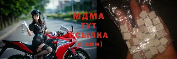 МДПВ Бородино