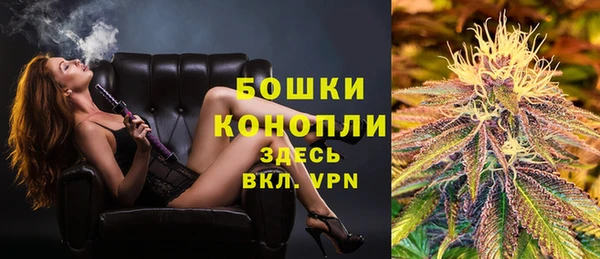 МДПВ Бородино