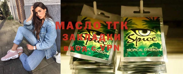 МДПВ Бородино