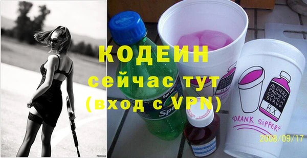 МДПВ Бородино