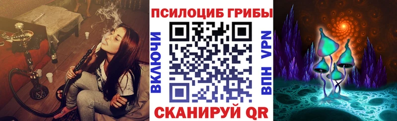 Псилоцибиновые грибы ЛСД  как найти наркотики  площадка клад  Волосово 